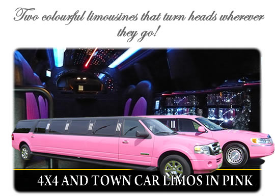 Pink limo graphic